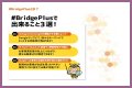 BridgePlus Manual