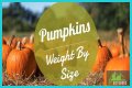 How Much Does Pumpkin Make Per Episode On Mama June?