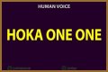 How to pronounce hoka one one