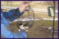 How To Put A Slinky On A Bird Feeder Pole?