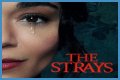 “The Strays” Is Set To Released On Netflix